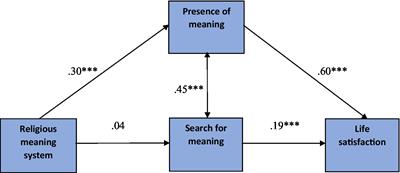 Religious meaning system and life satisfaction: the mediating role of meaning in life among Polish people with multiple sclerosis